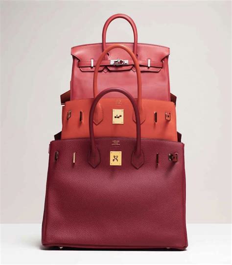 hermes pride birkin|hermes birkin leather bag.